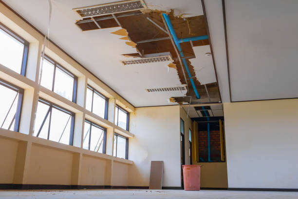 Best Fire Damage Restoration  in Rustburg, VA
