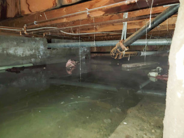 Water damage restoration process in Rustburg, VA