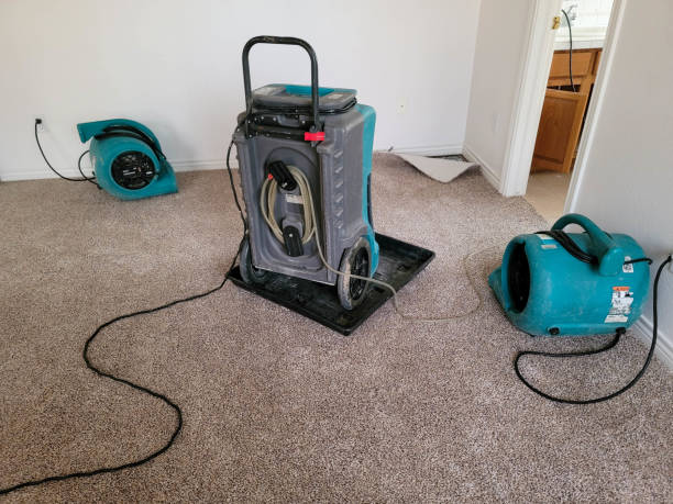 Best 24-hour water damage restoration  in Rustburg, VA