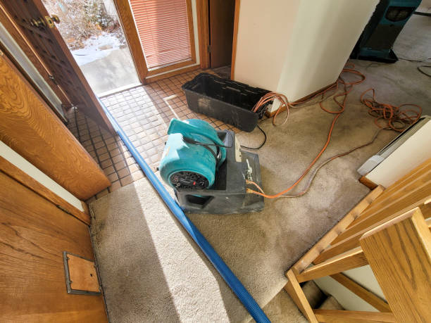Best Water damage restoration process  in Rustburg, VA