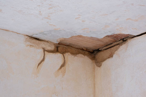 Best Sewage cleanup and water damage restoration  in Rustburg, VA