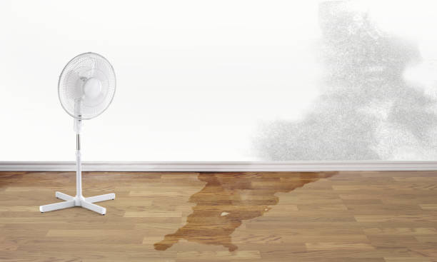 Best Flood damage cleanup  in Rustburg, VA