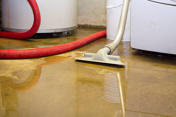 Best Water damage restoration near me  in Rustburg, VA