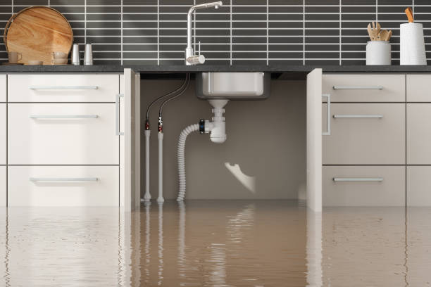 Best Carpet water damage restoration  in Rustburg, VA
