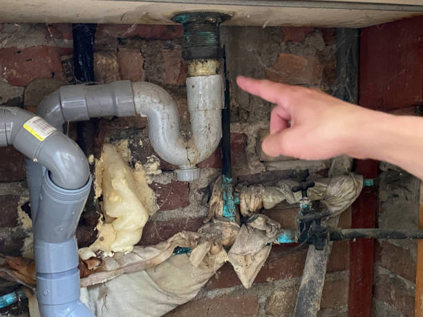 Best Water damage contractors near me  in Rustburg, VA