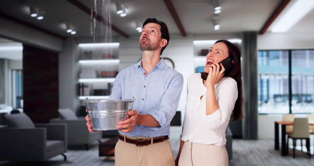 Best Flooded house restoration  in Rustburg, VA