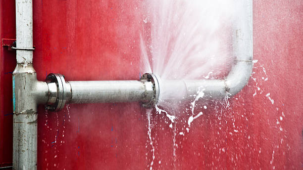 Best Flood damage cleanup  in Rustburg, VA